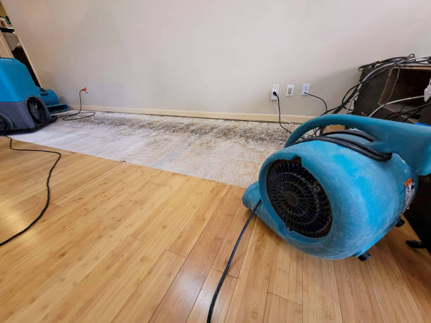 Professional Water Damage Repair technician working in Conover, NC